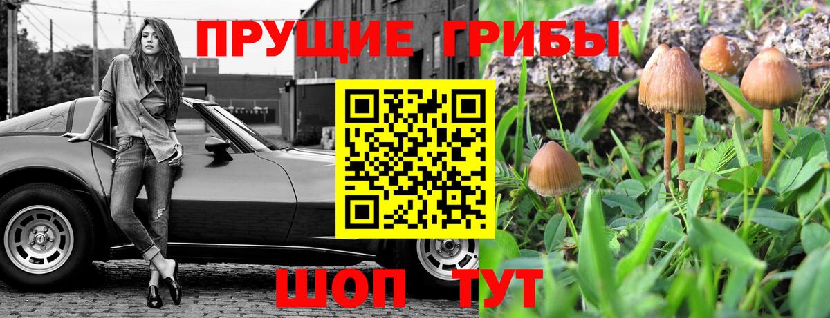 Псилоцибиновые грибы Magic Shrooms Людиново